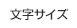 文字サイズ